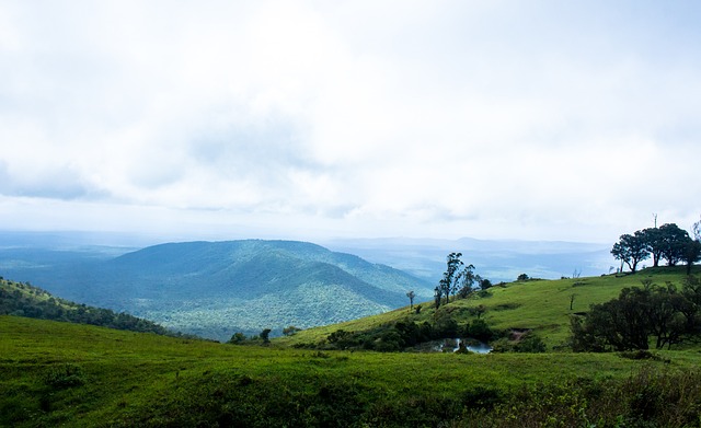 郭艾伦手术第五天！伤人者带水果去医院道歉，伤人画面首被曝.